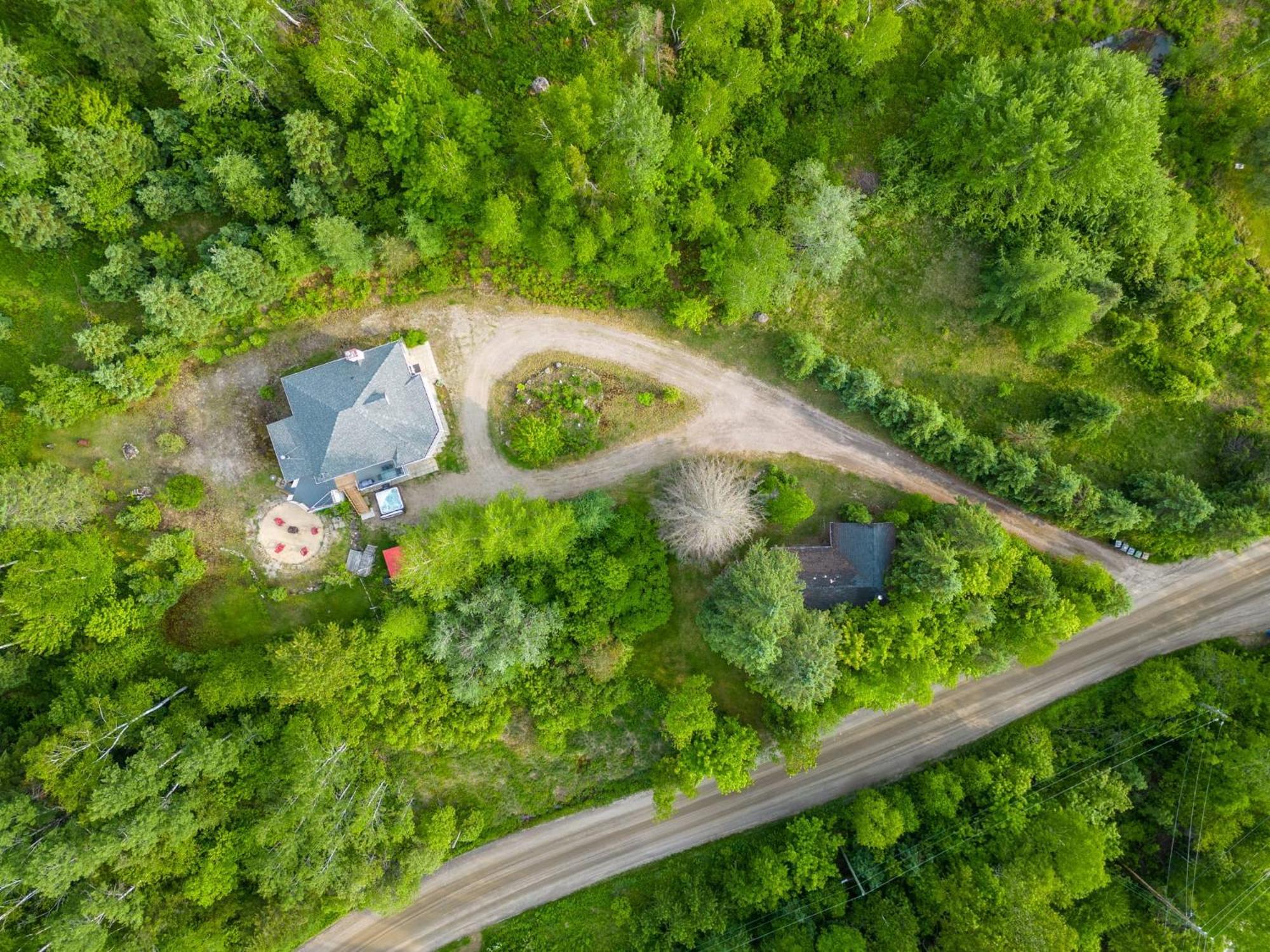 Spacious In Forest With *