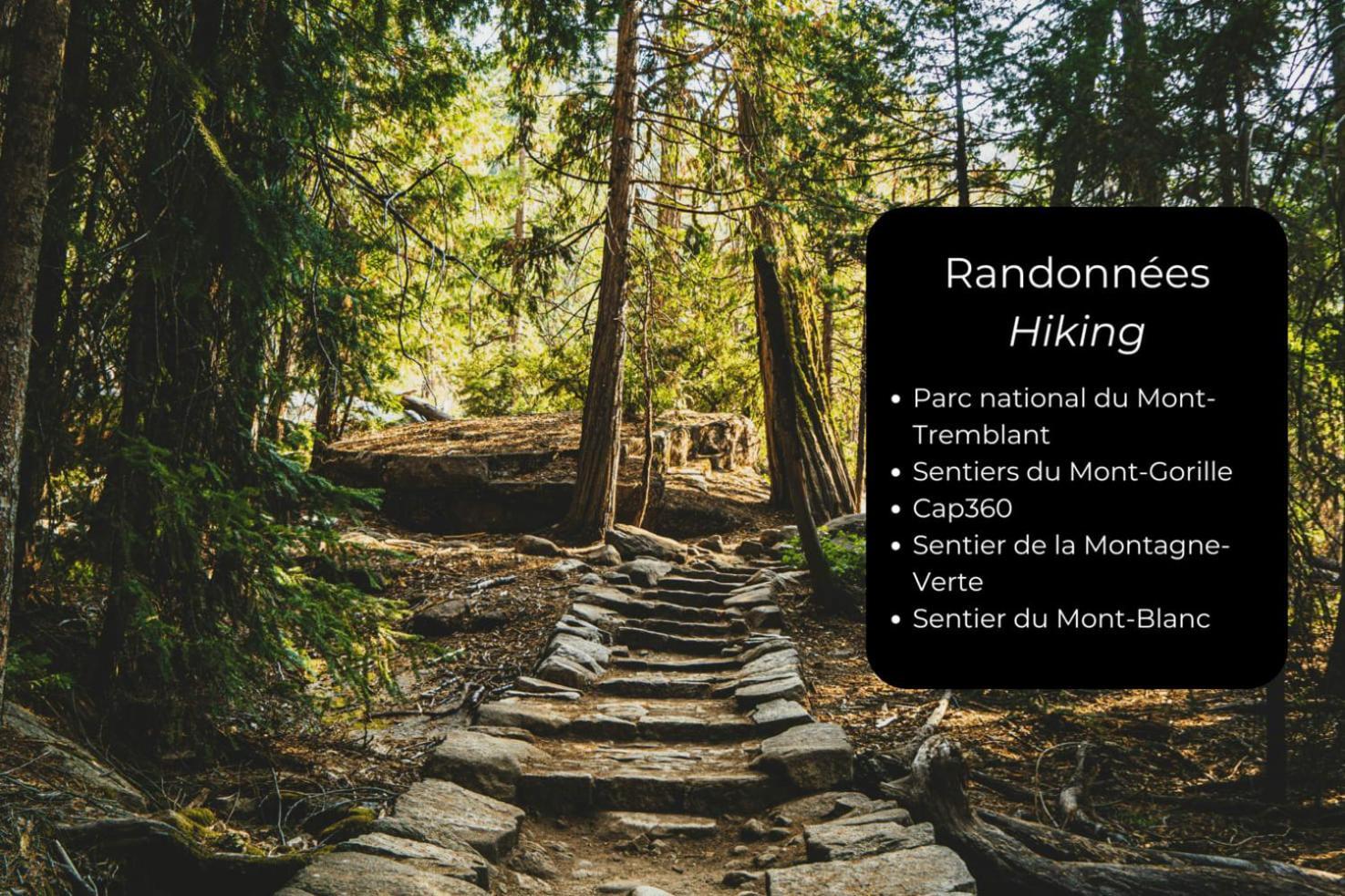 Spacious In Forest With Holiday home *